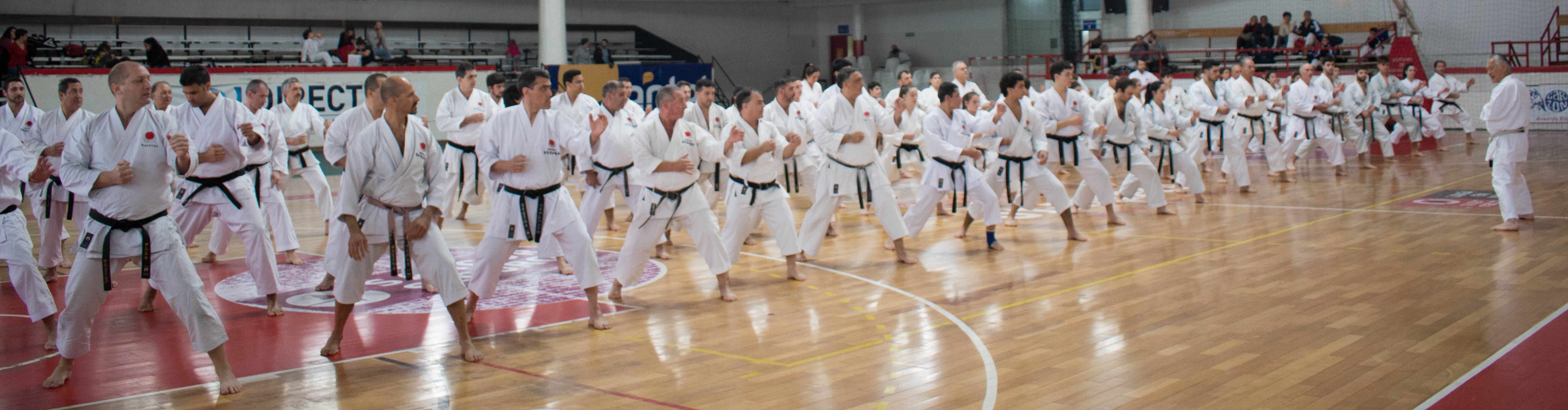 ClaseInoue