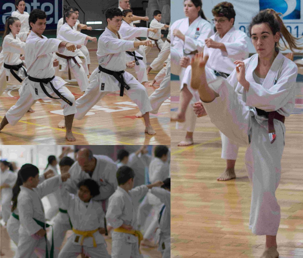 Practica